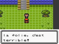 une photo d'Ã©cran de Pokemon Or sur Nintendo Game Boy Color